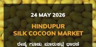 Hindupur Silk Cocoon Market – 24 May 2026 Hindupur Silk Cocoon Market – 24 May 2026