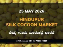 Hindupur Silk Cocoon Market – 25 May 2026