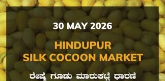Hindupur Silk Cocoon Market – 30 May 2026 Hindupur Silk Cocoon Market – 30 May 2026