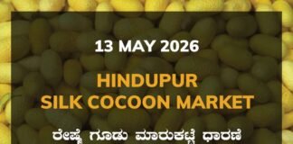 Hindupur Silk Cocoon Market – 13 May 2026 Hindupur Silk Cocoon Market – 13 May 2026