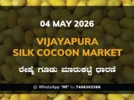 Vijayapura Silk Cocoon Market – 04 May 2026