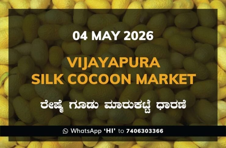 Vijayapura Silk Cocoon Market – 04 May 2026