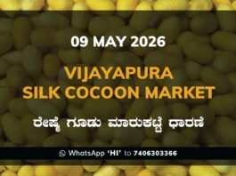 Vijayapura Silk Cocoon Market – 09 May 2026