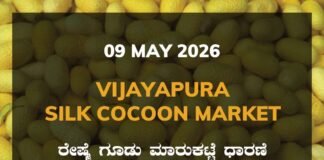 Vijayapura Silk Cocoon Market – 09 May 2026 Vijayapura Silk Cocoon Market – 09 May 2026