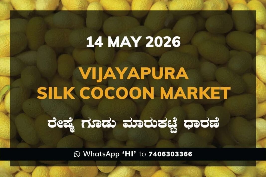 Vijayapura Silk Cocoon Market – 14 May 2026