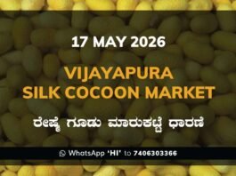 Vijayapura Silk Cocoon Market – 17 May 2026