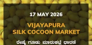Vijayapura Silk Cocoon Market – 17 May 2026 Vijayapura Silk Cocoon Market – 17 May 2026