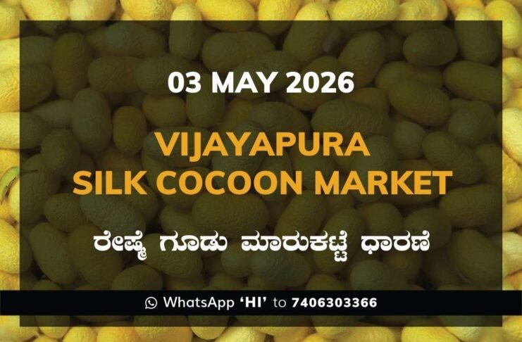 Vijayapura Silk Cocoon Market – 03 May 2026