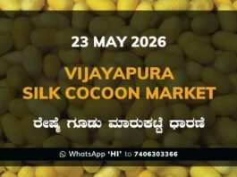 Vijayapura Silk Cocoon Market – 23 May 2026