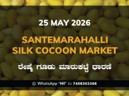 Santemarahalli Silk Cocoon Market – 25 May 2026