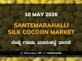 Santemarahalli Silk Cocoon Market – 10 May 2026