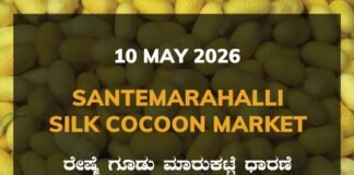 Santemarahalli Silk Cocoon Market – 10 May 2026 Santemarahalli Silk Cocoon Market – 10 May 2026