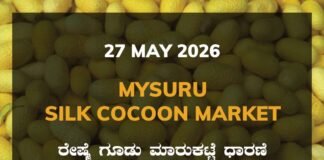 Mysuru Silk Cocoon Market – 27 May 2026 Mysuru Silk Cocoon Market – 27 May 2026