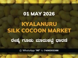Kyalanuru Silk Cocoon Market – 01 May 2026