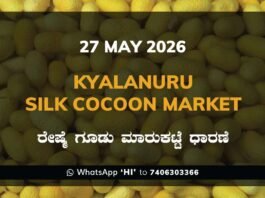 Kyalanuru Silk Cocoon Market – 27 May 2026 Kyalanuru Silk Cocoon Market – 27 May 2026