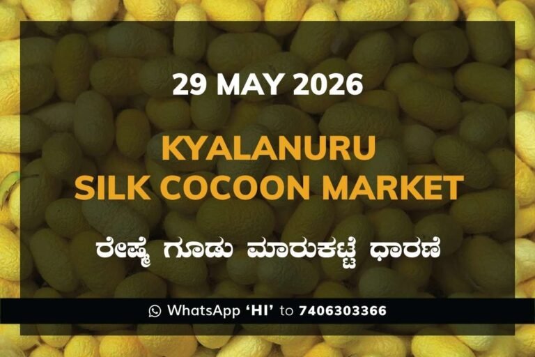 Kyalanuru Silk Cocoon Market – 29 May 2026