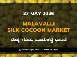 Malavalli Silk Cocoon Market – 27 May 2026 Malavalli Silk Cocoon Market – 27 May 2026