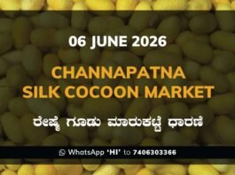 Channapatna Silk Cocoon Market – 06 June 2026
