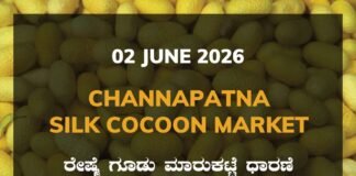 Channapatna Silk Cocoon Market – 02 June 2026 Channapatna Silk Cocoon Market – 02 June 2026