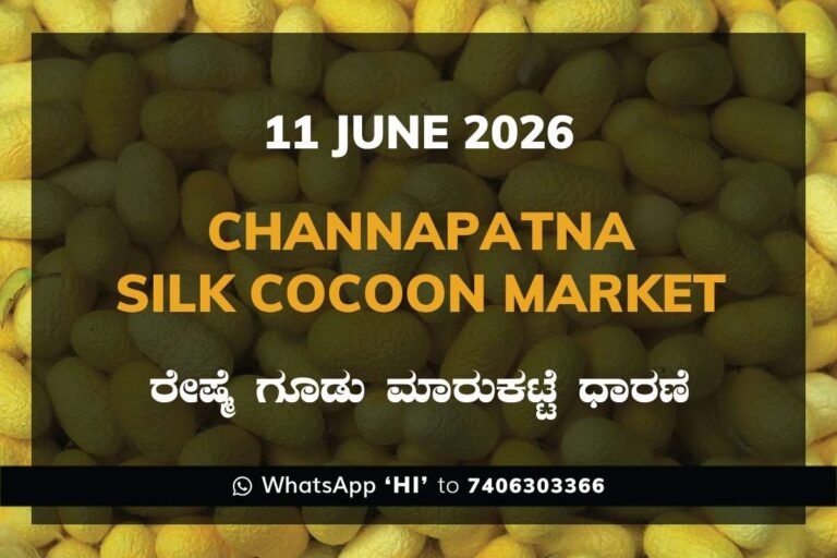 Channapatna Silk Cocoon Market – 11 June 2026