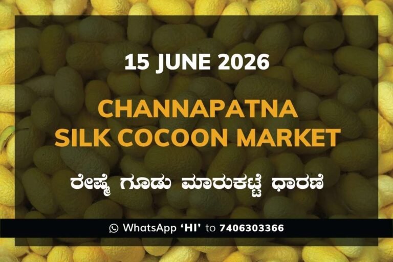 Channapatna Silk Cocoon Market – 15 June 2026