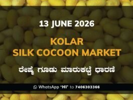Kolar Silk Cocoon Market – 13 June 2026