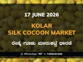 Kolar Silk Cocoon Market – 17 June 2026