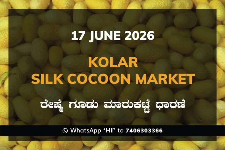 Kolar Silk Cocoon Market – 17 June 2026