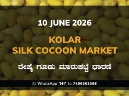 Kolar Silk Cocoon Market – 10 June 2026