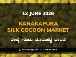 Kanakapura Silk Cocoon Market – 13 June 2026