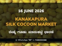 Kanakapura Silk Cocoon Market – 16 June 2026 Kanakapura Silk Cocoon Market – 16 June 2026