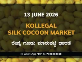 Kollegal Silk Cocoon Market – 13 June 2026