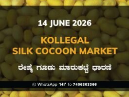 Kollegal Silk Cocoon Market – 14 June 2026