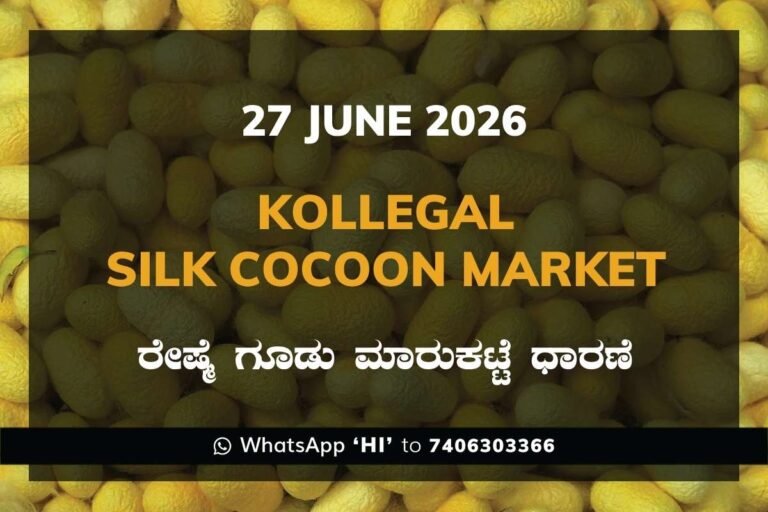 Kollegal Silk Cocoon Market – 27 June 2026