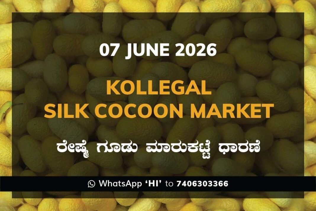 Kollegal Silk Cocoon Market – 07 June 2026