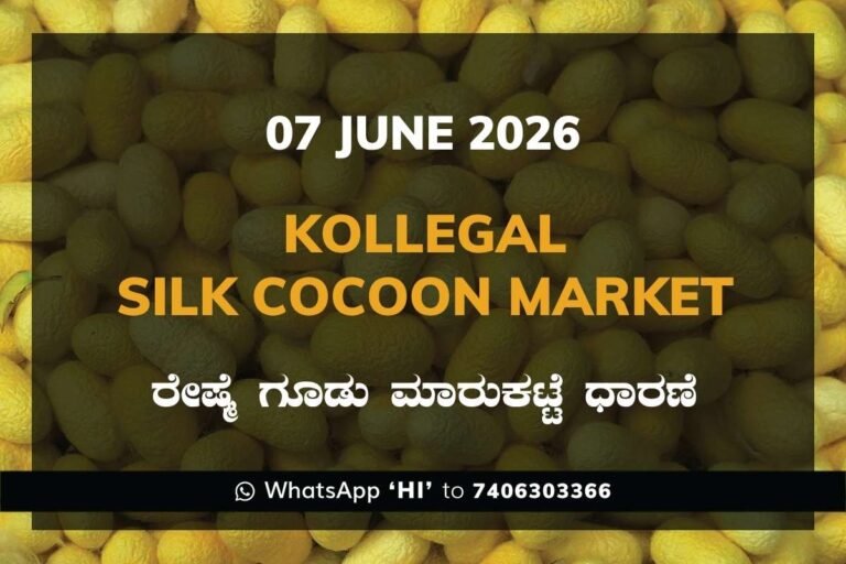 Kollegal Silk Cocoon Market – 07 June 2026