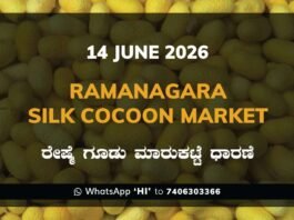 Ramanagara Silk Cocoon Market – 14 June 2026