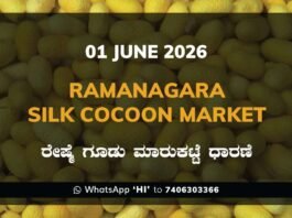 Ramanagara Silk Cocoon Market – 01 June 2026