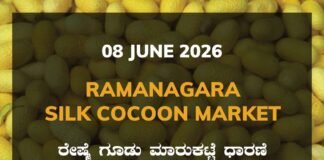 Ramanagara Silk Cocoon Market – 08 June 2026 Ramanagara Silk Cocoon Market – 08 June 2026