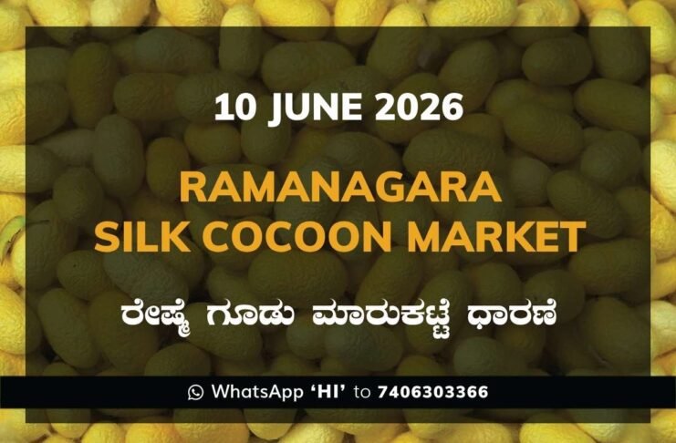Ramanagara Silk Cocoon Market – 10 June 2026