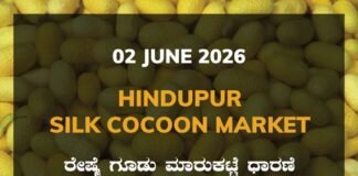 Hindupur Silk Cocoon Market – 02 June 2026 Hindupur Silk Cocoon Market – 02 June 2026