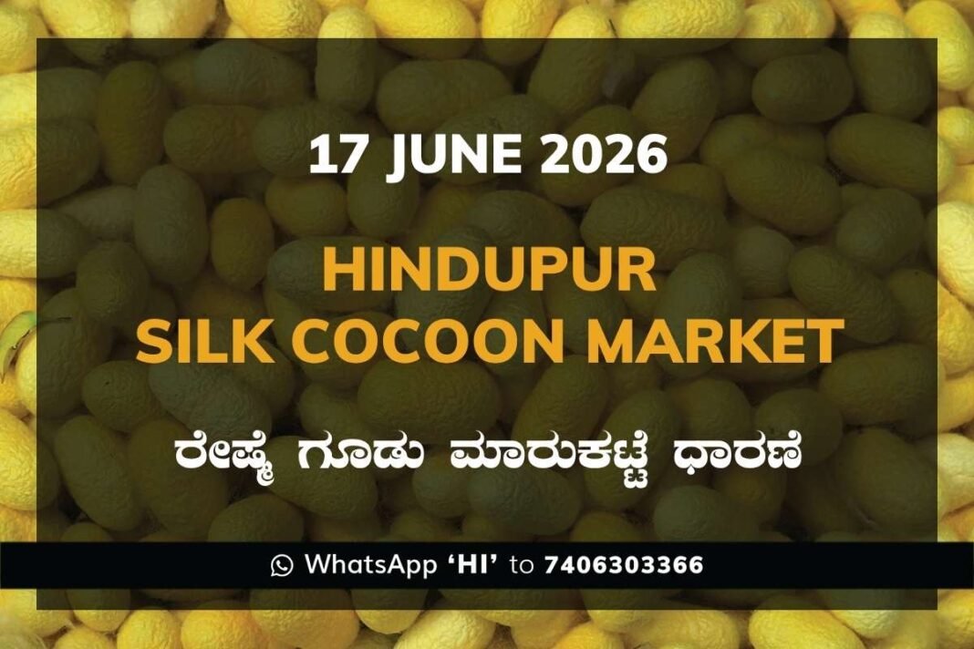 Hindupur Silk Cocoon Market – 17 June 2026