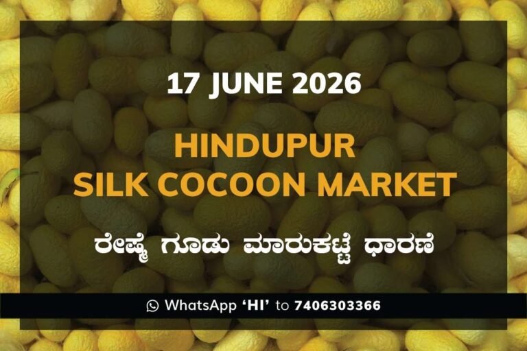 Hindupur Silk Cocoon Market – 17 June 2026