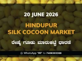 Hindupur Silk Cocoon Market – 20 June 2026