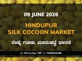 Hindupur Silk Cocoon Market