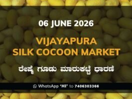 Vijayapura Silk Cocoon Market – 06 June 2026