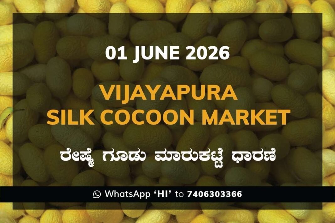 Vijayapura Silk Cocoon Market – 01 June 2026