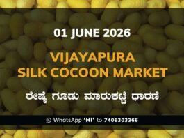 Vijayapura Silk Cocoon Market – 01 June 2026