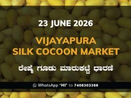 Vijayapura Silk Cocoon Market – 23 June 2026