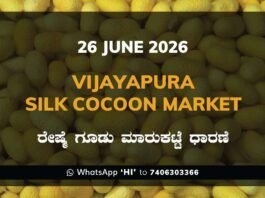 Vijayapura Silk Cocoon Market – 26 June 2026